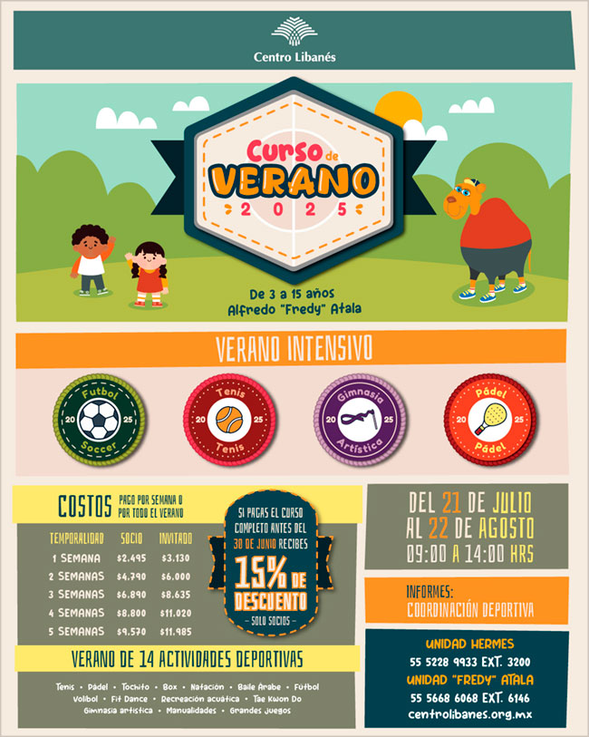 Curso de Verano 2025